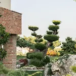 Garden Lejlighed *