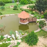 Garden Lejlighed *