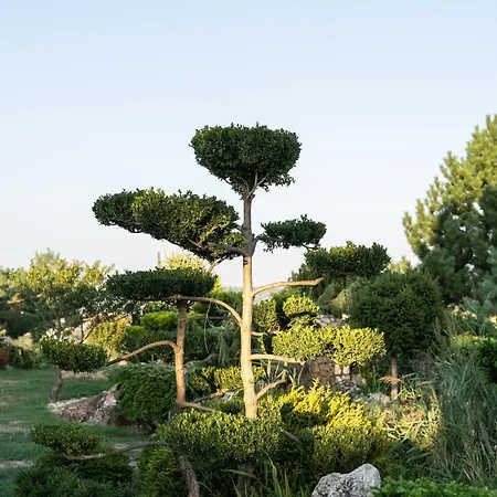 Garden * Zalaegerszeg