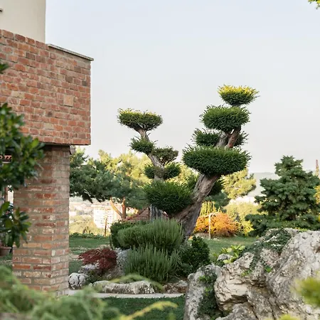 Garden Apartment *